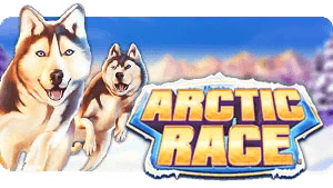 Arctic Race