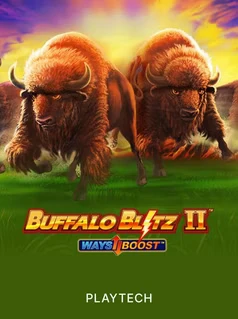 Buffalo Blitz II