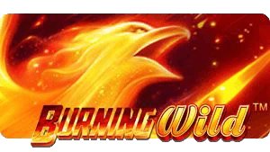 BURNING Wild