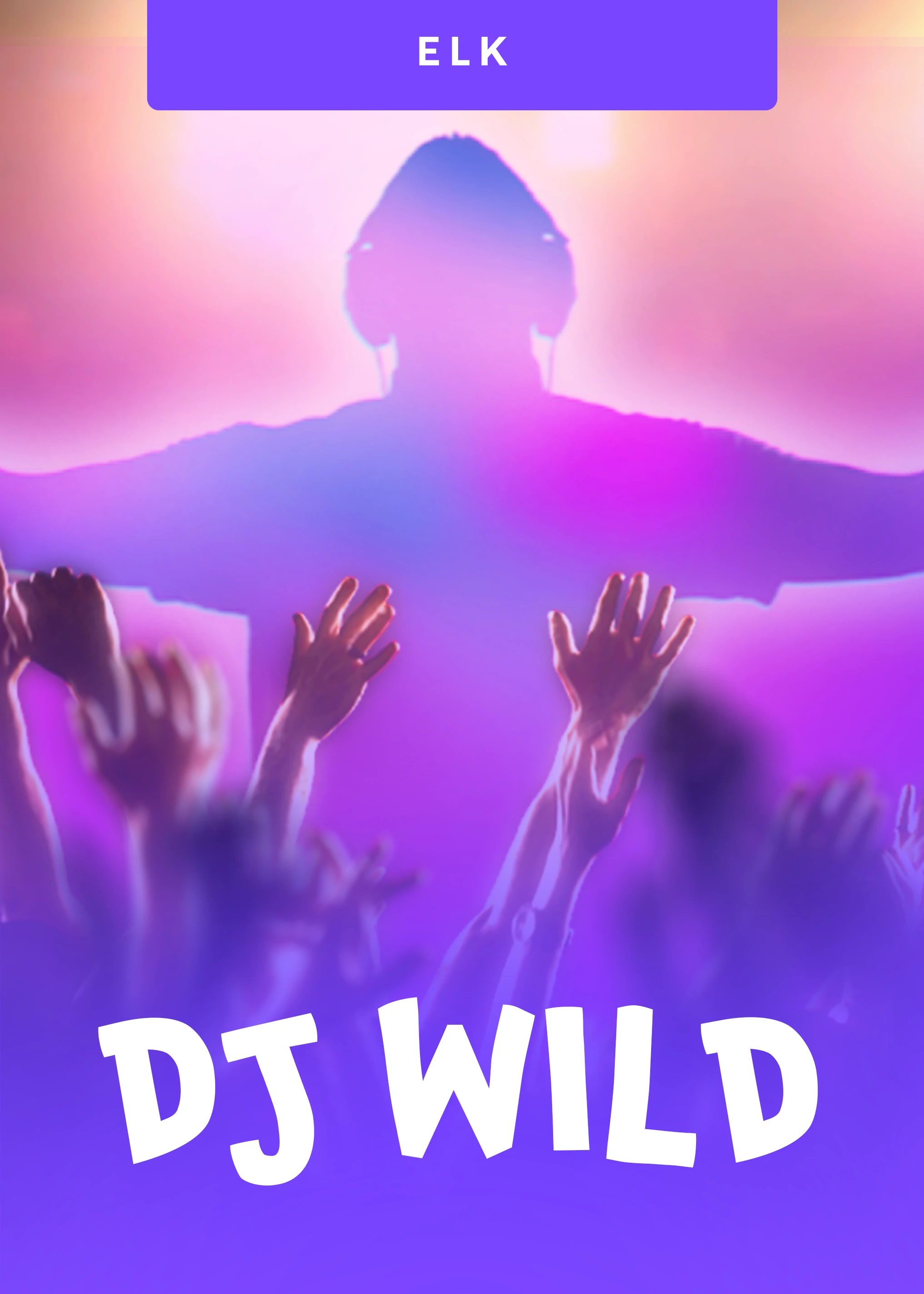 dj-wild