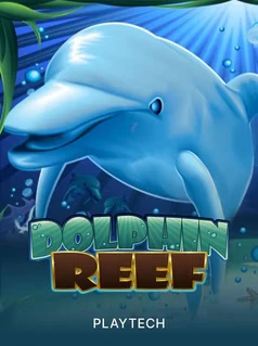 Dolphin Reef