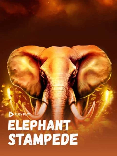 Elephant Stampede