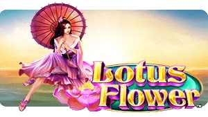 Lotus Flower