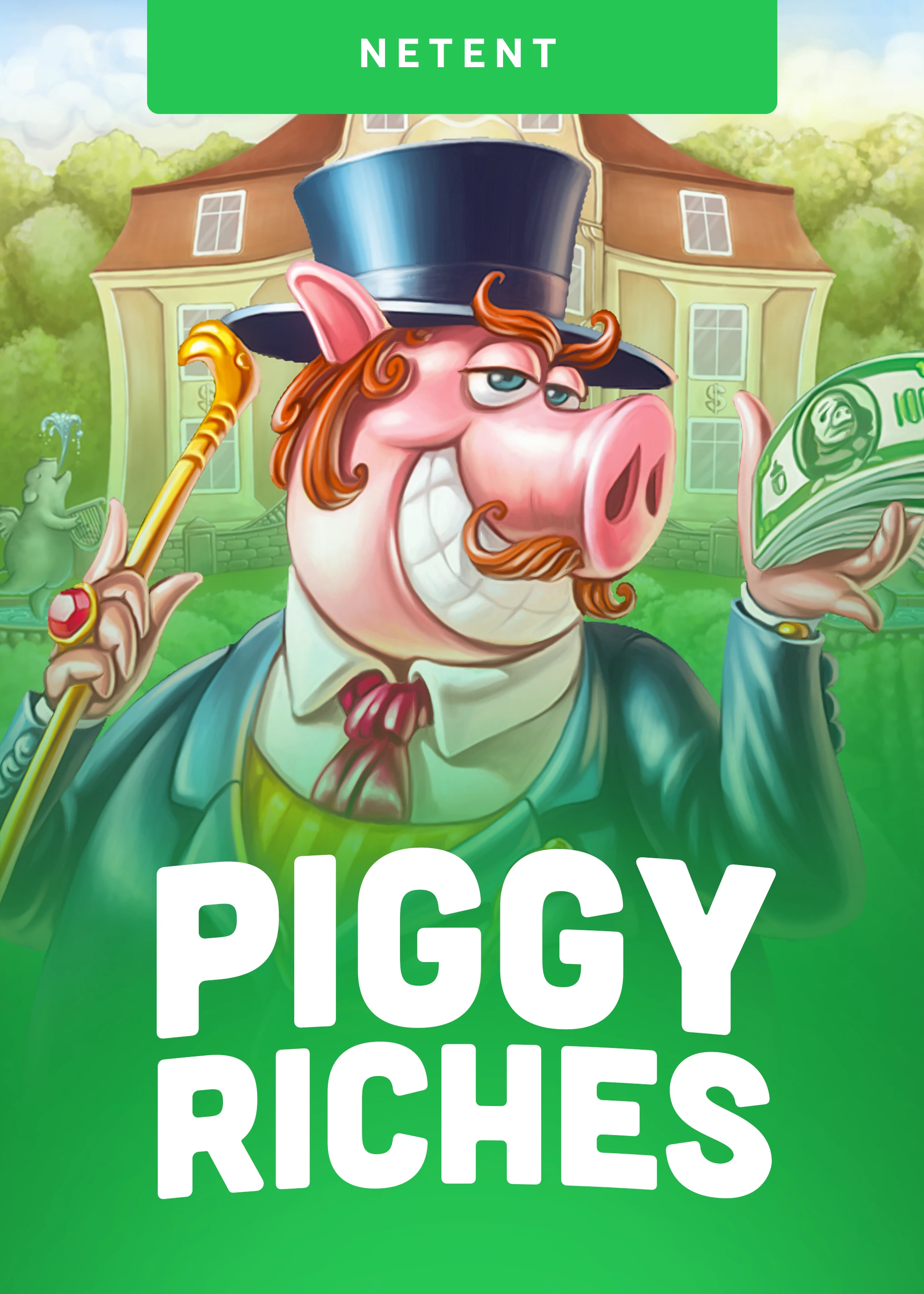 Piggy Riches™